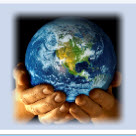 Our Services